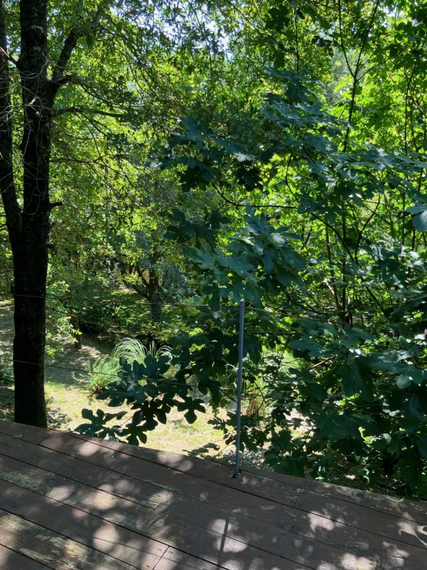 Casa Rio Vez - Riverfront Arcos de Valdevez Zewnętrze zdjęcie
